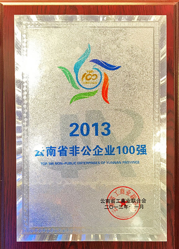 2013云南省非公企業100強