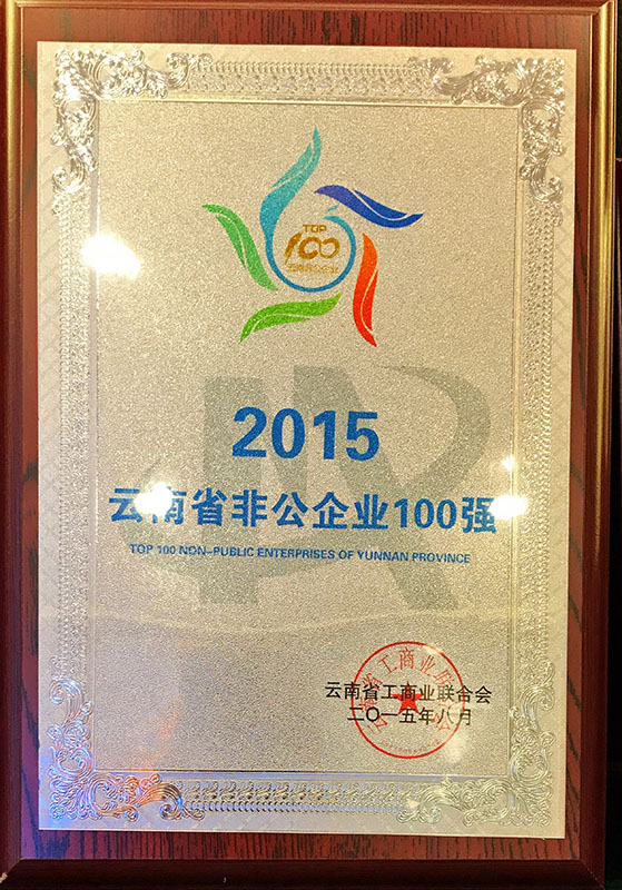2015云南省非公企業100強